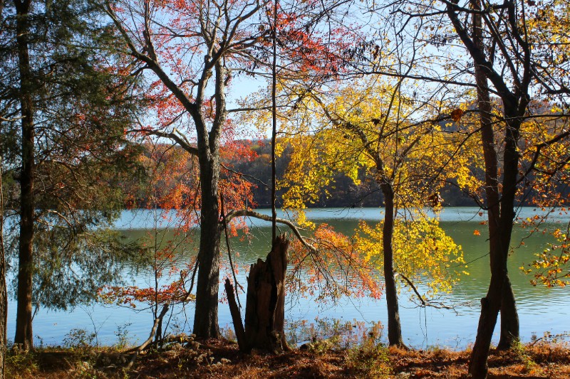 Radnor Lake State Park