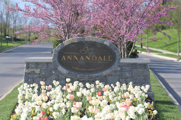 Annandale neighborhood, Brentwood, TN, LCT Team