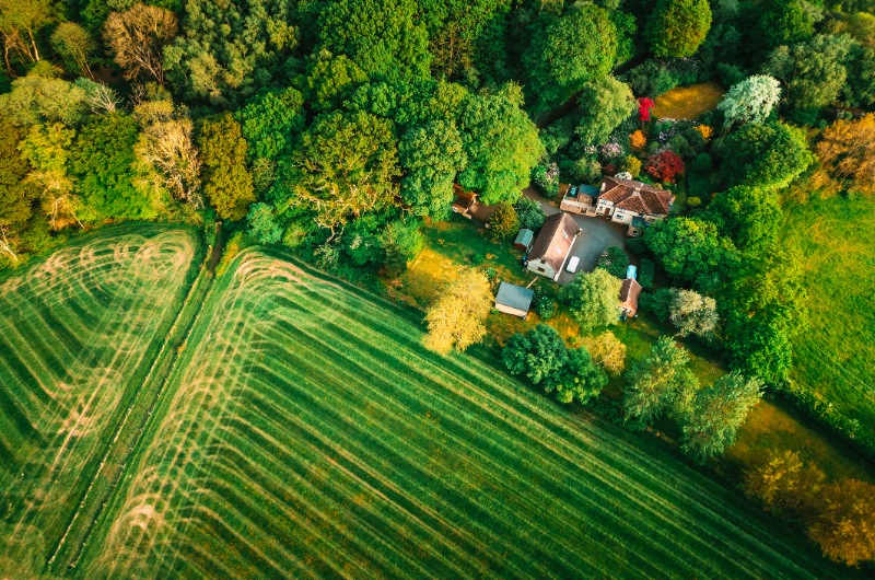 Aerial view detached houses