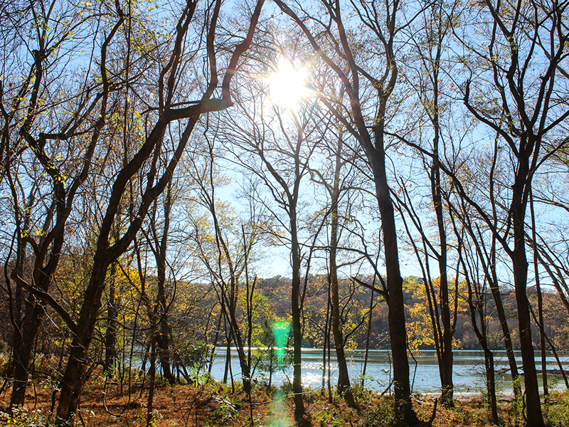 A local’s guide to living in and around Crieve Hall